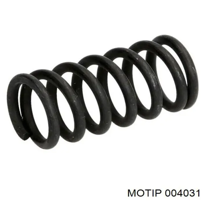 Купить 004031 Motip 