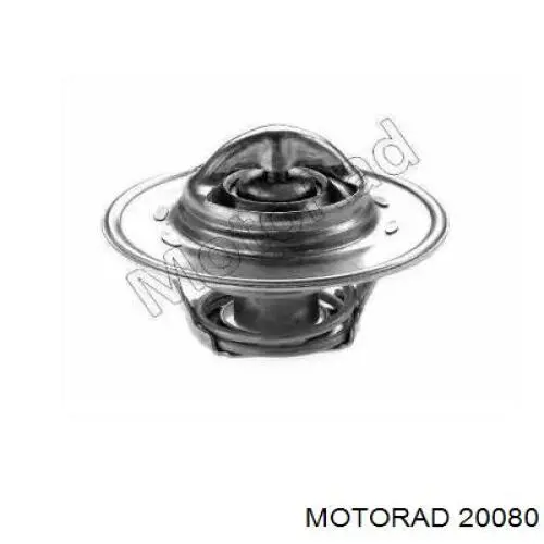  20080 Motorad