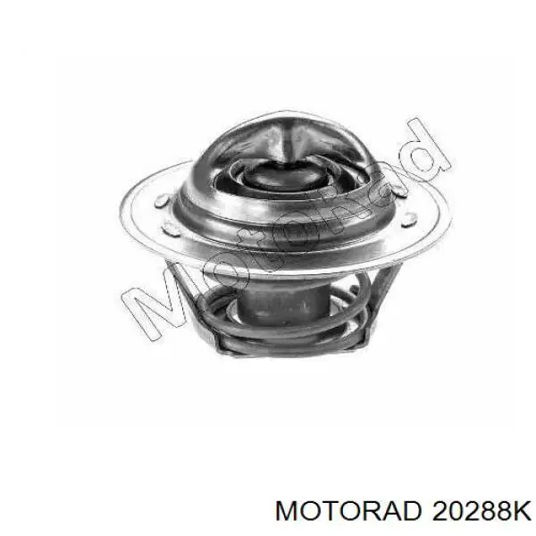 202-88K Motorad termostato