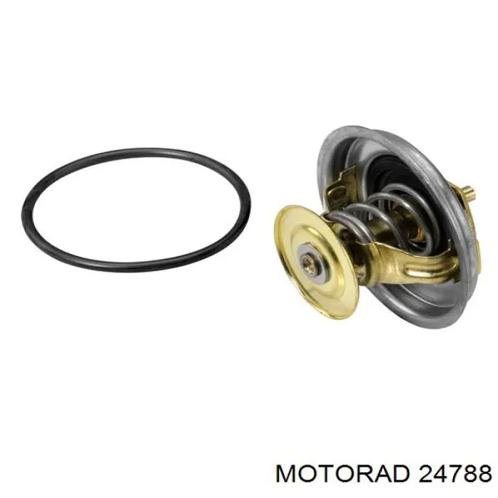 Термостат в корпусе Motorad 24788 цена, от 9.44 USD