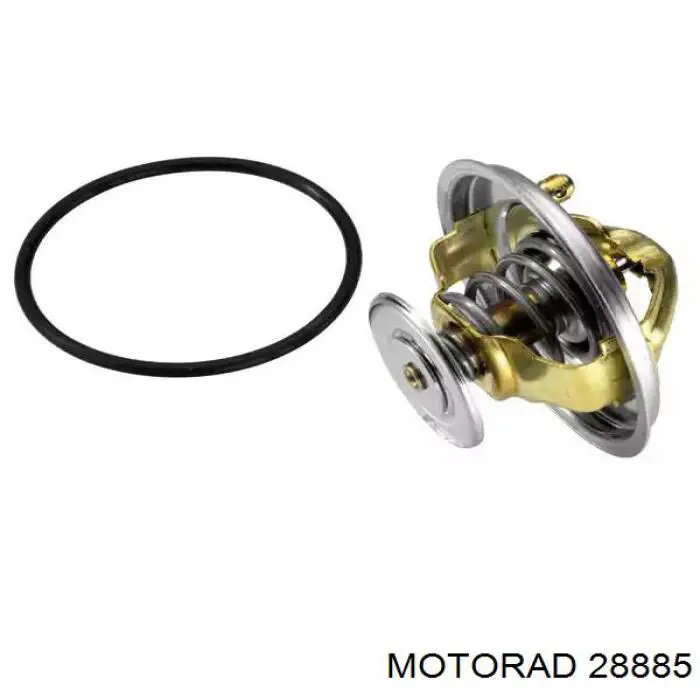 28885 Motorad