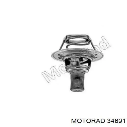 34691 Motorad