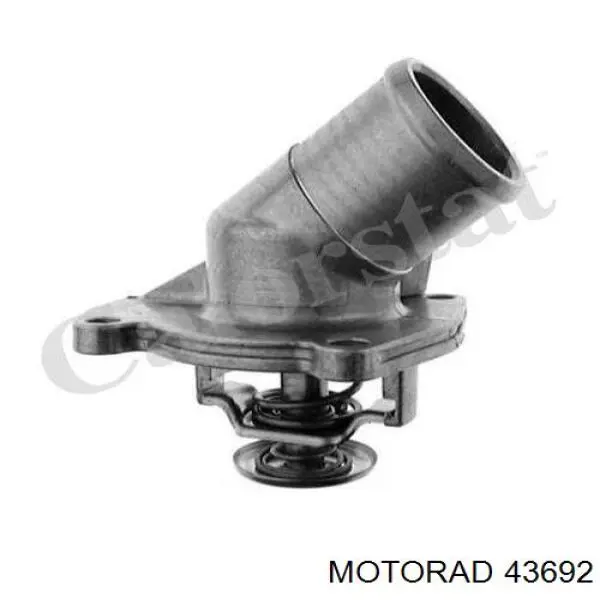 43692 Motorad