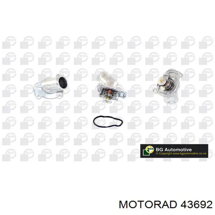 43692 Motorad Авто термостат