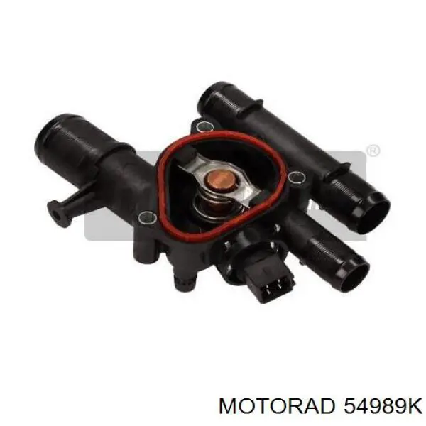 549-89K Motorad termostato