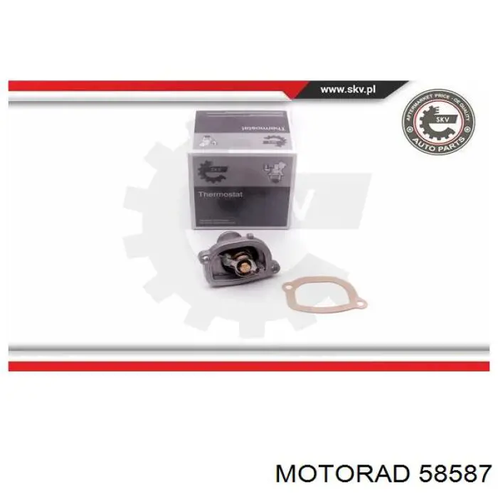 DT1232F Dayco Авто термостат