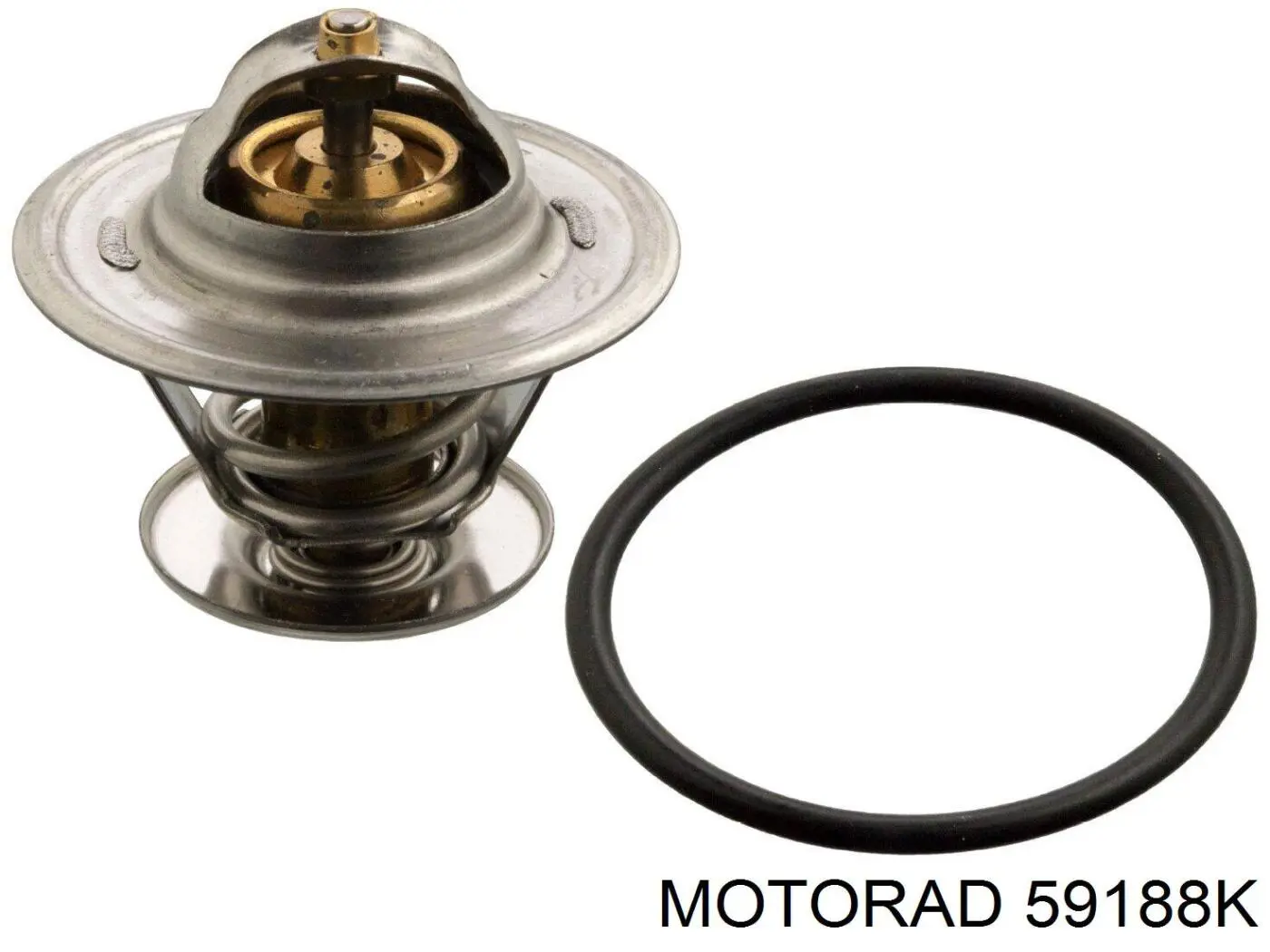 59188K Motorad