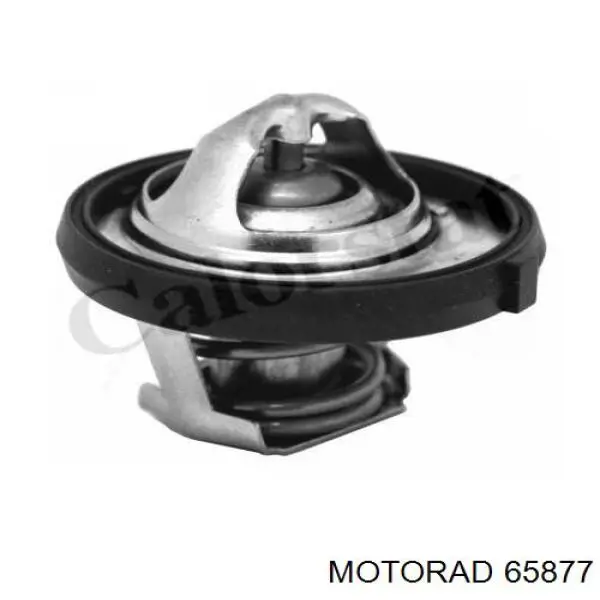 Купить 65877 Motorad 