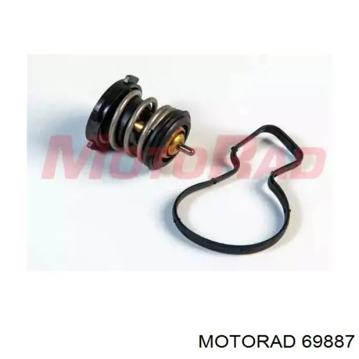 Кожух термостата Motorad 69887 цена, от 35.36 USD