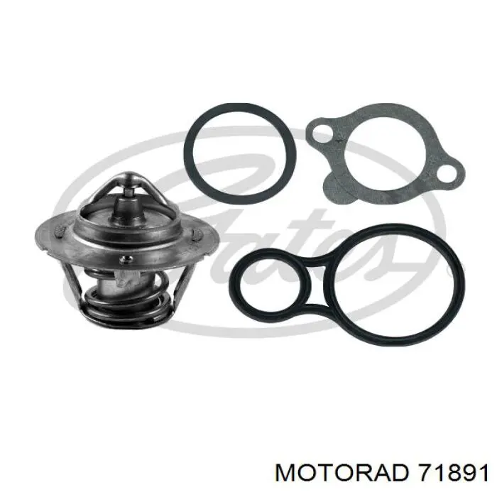 71891 Motorad termostato