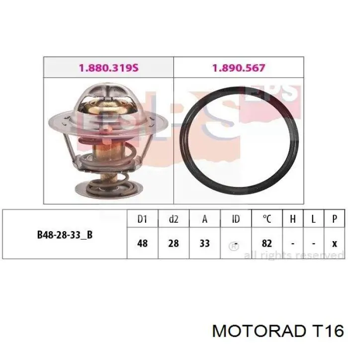 Купить T16 Motorad Крышка радиатора
