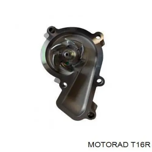 Купить T16R Motorad Крышка радиатора