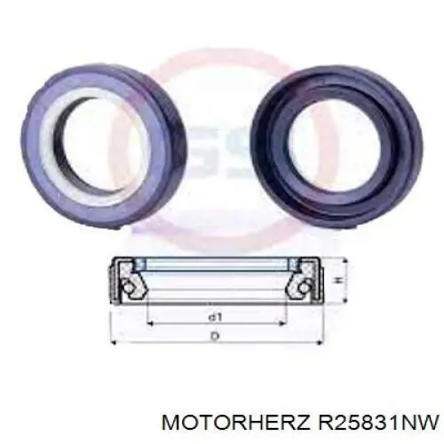 R25831NW Motorherz 