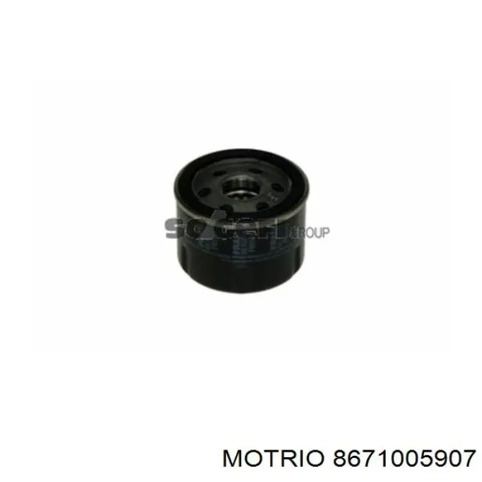 8671005907 Motrio масляный фильтр