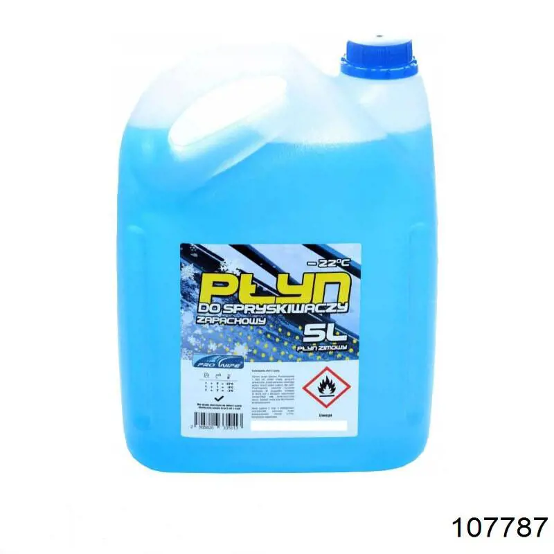  107787 Motul