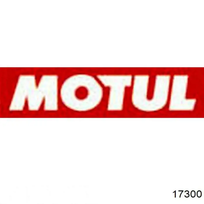  Motul 17300 цена, от 16.92 USD