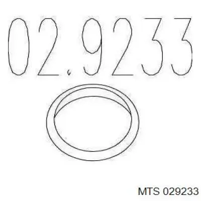 Прокладка приемной трубы MTS 029233