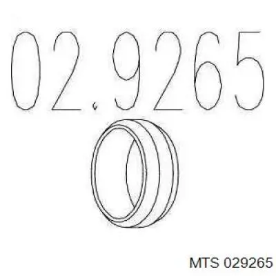 029265 MTS кольцо приемной трубы глушителя