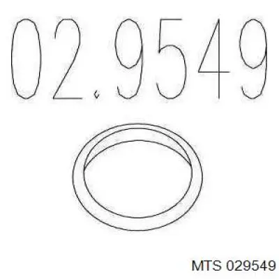 029549 MTS кольцо приемной трубы глушителя