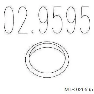 029595 MTS Прокладка штанов