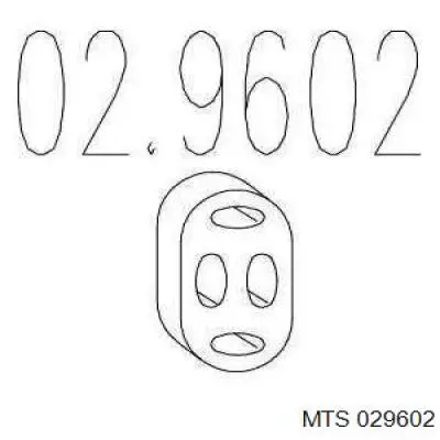 029602 MTS 