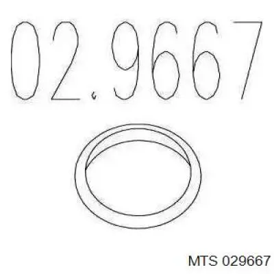 02.9667 MTS кольцо приемной трубы глушителя