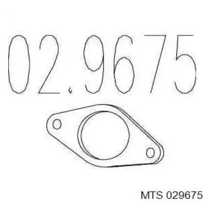 029675 MTS Прокладка штанов