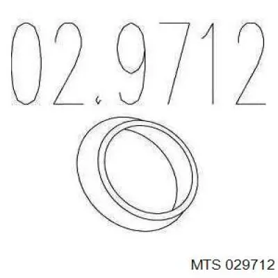 029712 MTS кольцо приемной трубы глушителя