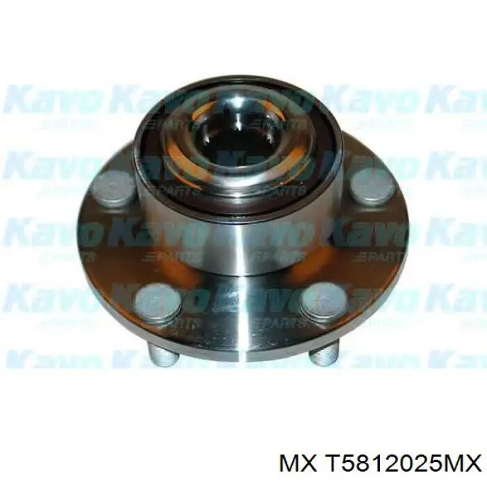 Cubo de rueda delantero T5812025MX MX