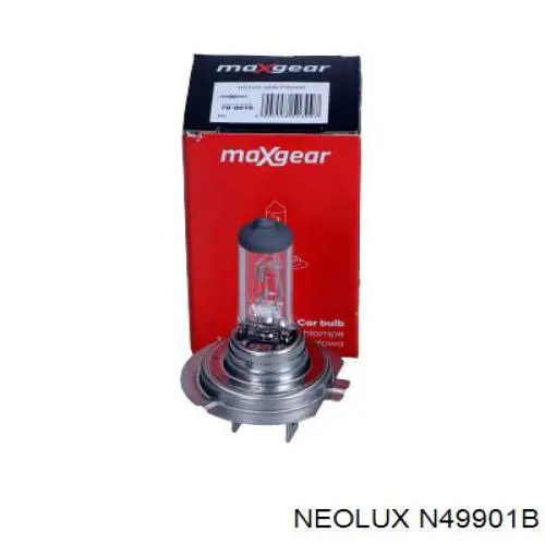 Купить N49901B Neolux Лампочка галогенная