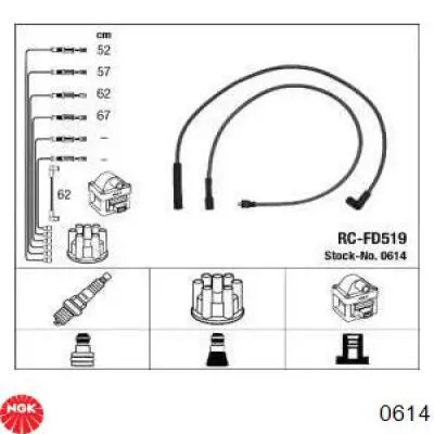  RCFD519 NGK