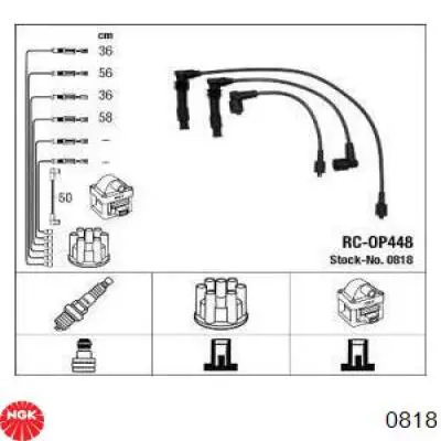  818 NGK