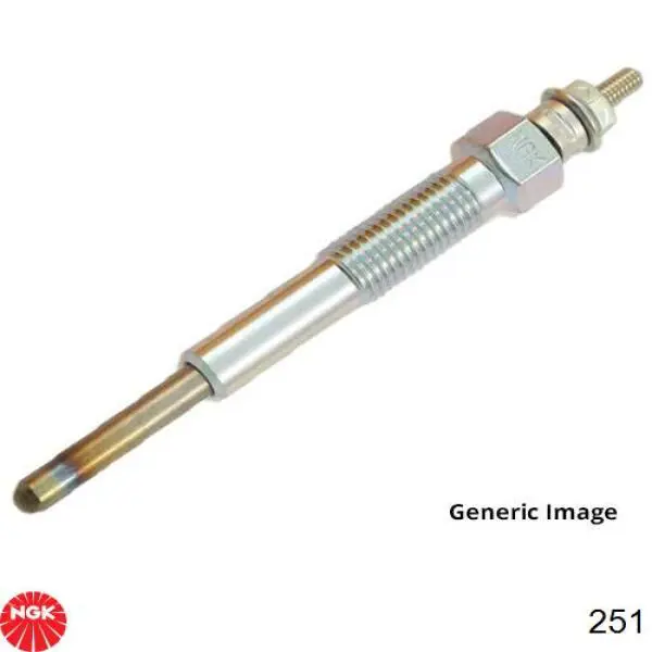 251 NGK