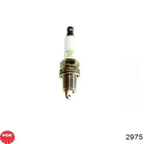 2975 NGK