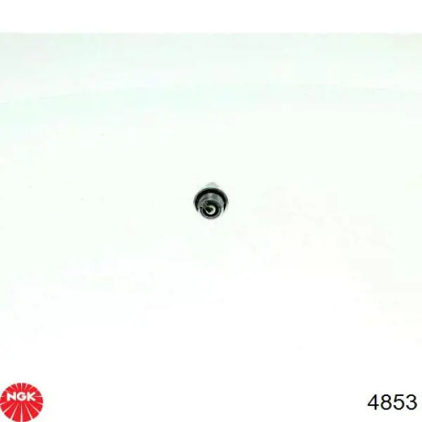 Купить 4853 NGK Свечи автомобильные