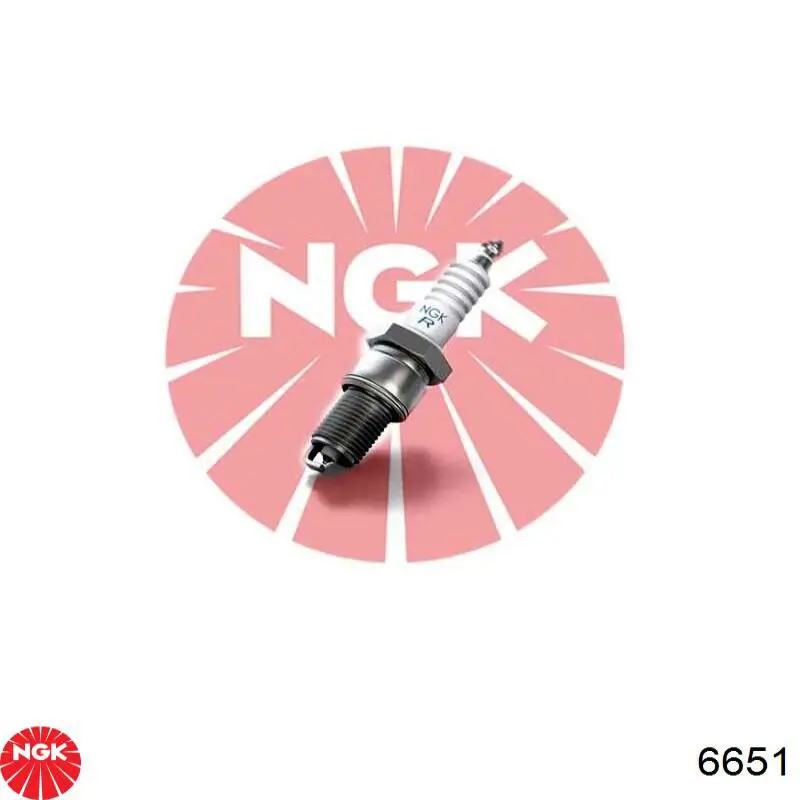 Свечи зажигания 6651 NGK