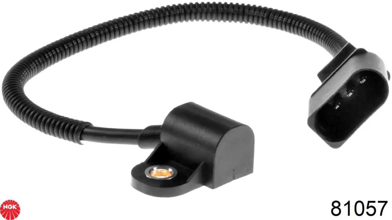 Купить 81057 NGK ДПРВ