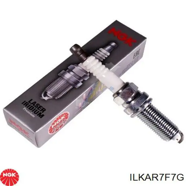 Свеча NGK ILKAR7F7G