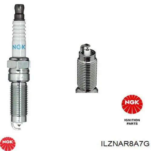 ILZNAR8A7G NGK Bujía original y equivalente