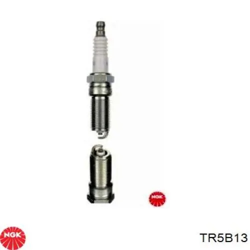 Свечи зажигания TR5B13 NGK