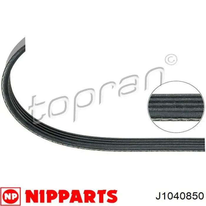 Клиновый ремень Nipparts J1040850 цена, от 5.64 USD