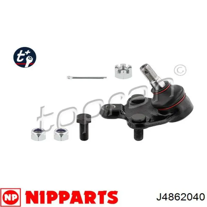Купить J4862040 Nipparts Нижняя шаровая опора