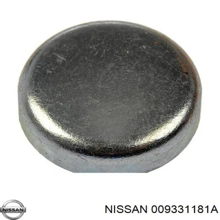 009331181A Nissan/Infiniti 