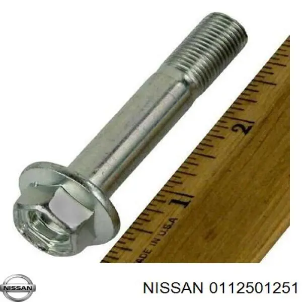 0112501251 Nissan/Infiniti 
