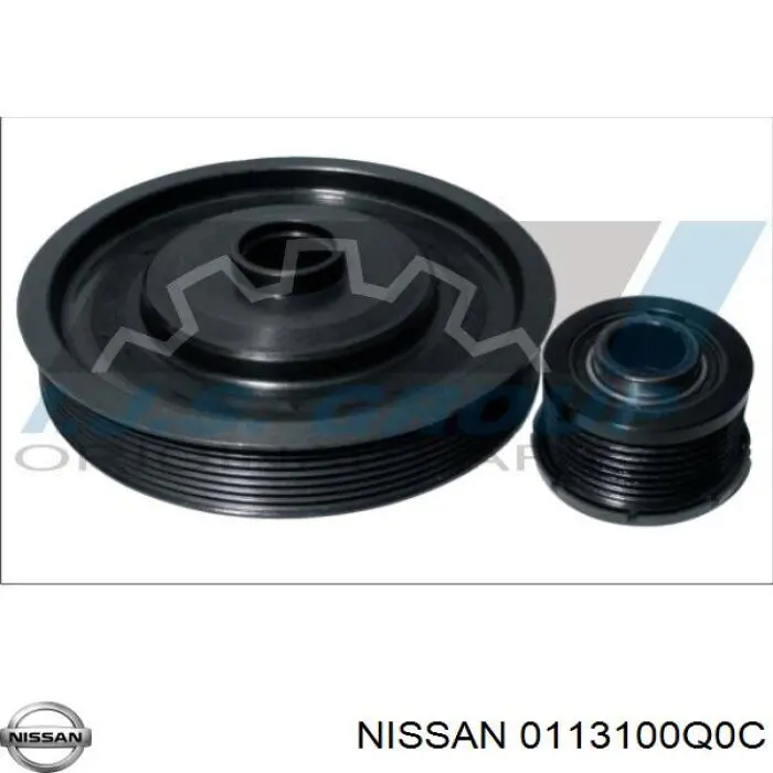  0113100Q0C Nissan