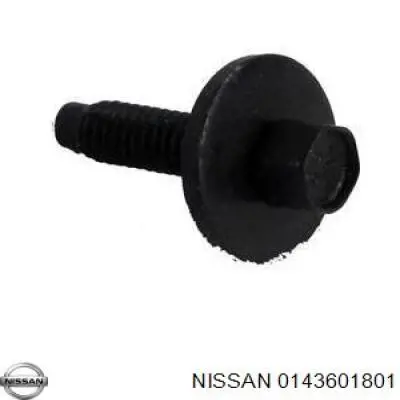  143601801 Nissan