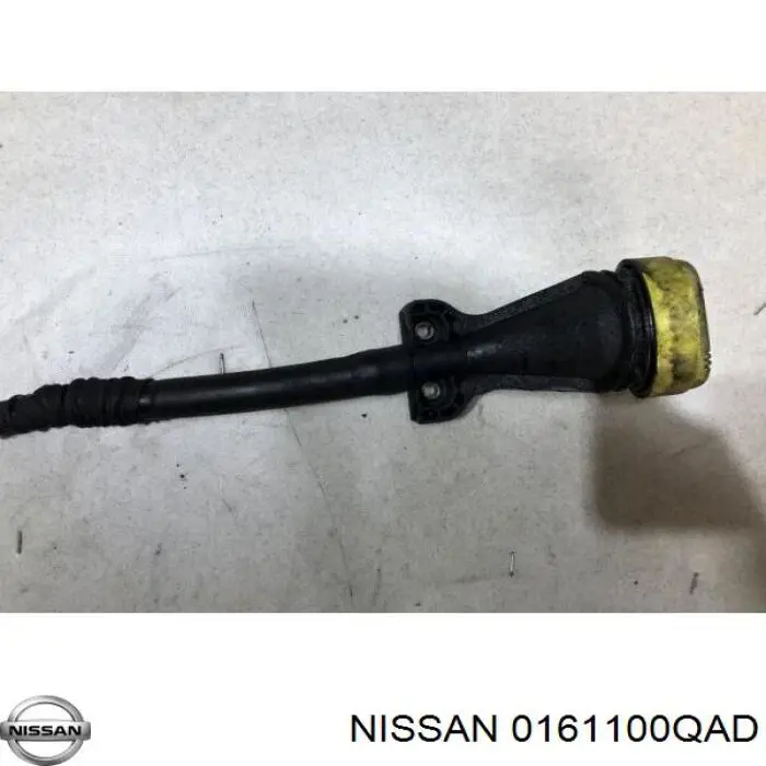 0161100QAD Nissan/Infiniti