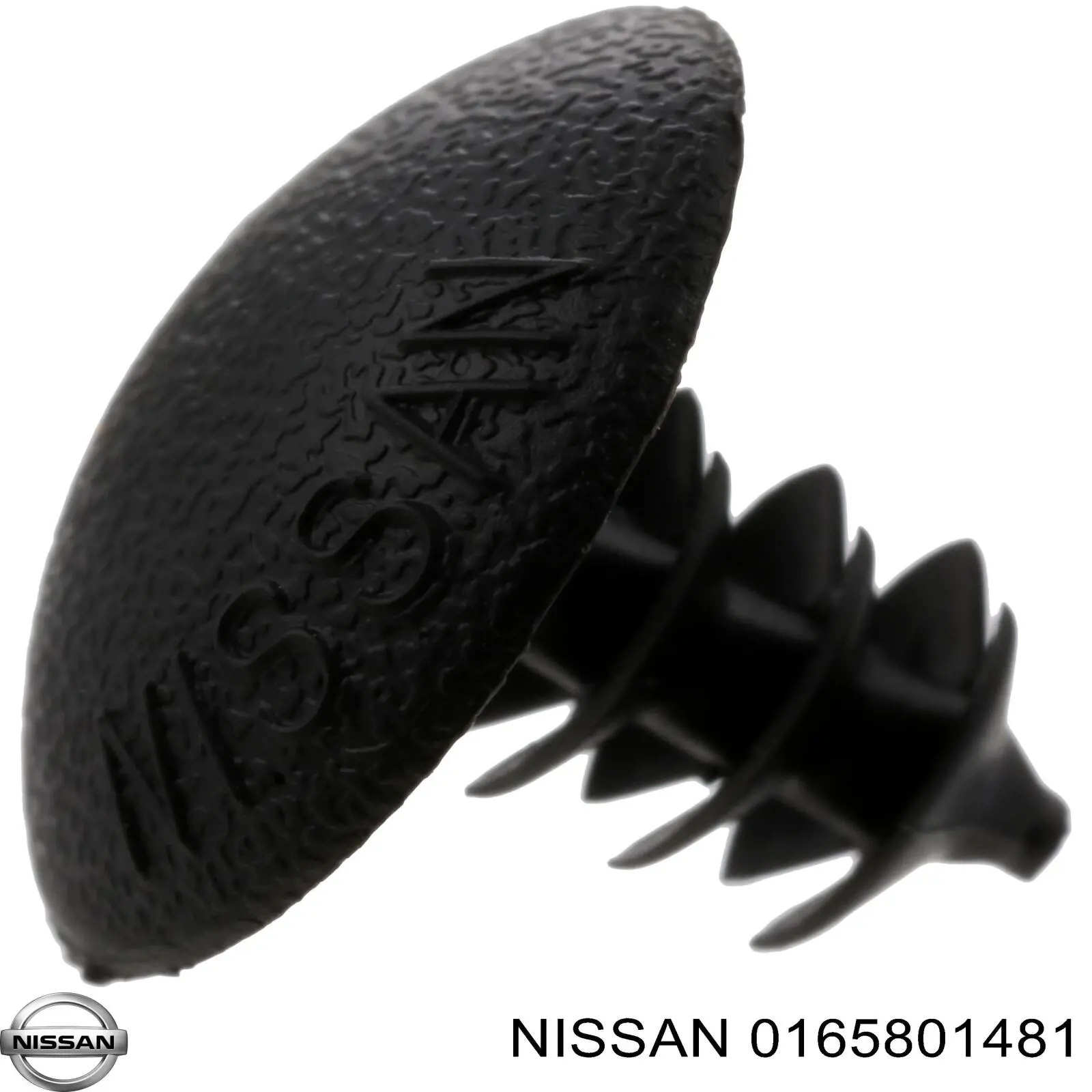 165801481 Nissan 