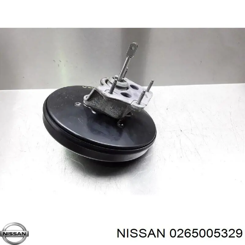  0265005329 Nissan