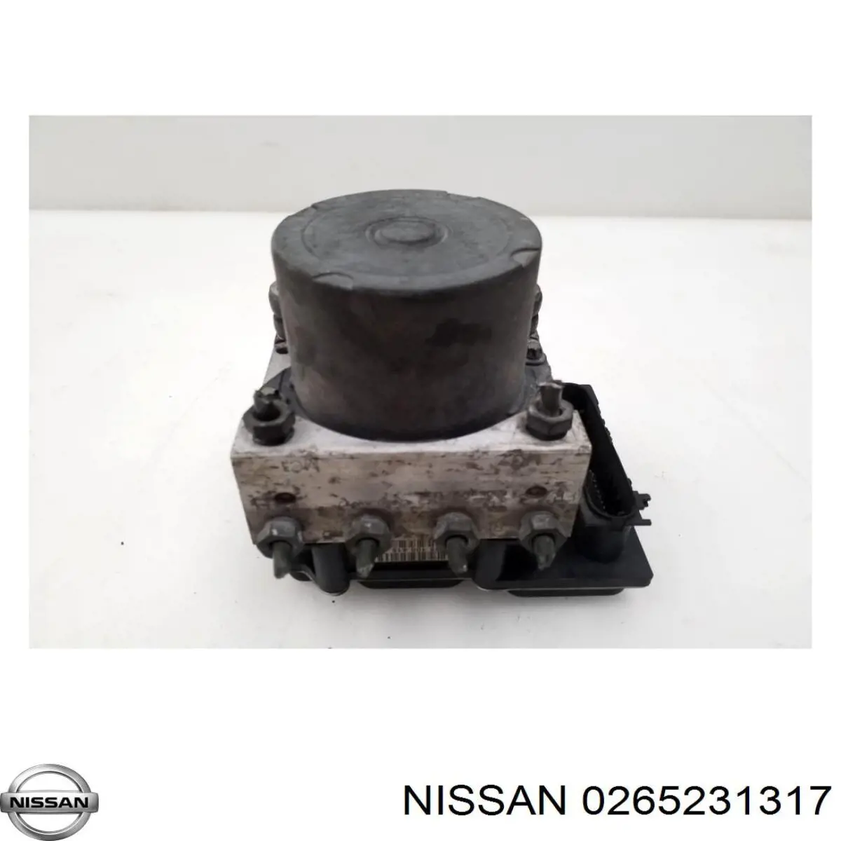 0265231317 Nissan блок управления абс (abs гидравлический)